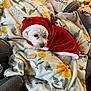 dog, small_dog, white_dog, holiday_costume, reindeer_antlers, blanket, floral_pattern, bee_pattern, cozy, indoors, living_room, couch, pet, cute, festive, red_clothing, fur, resting, comfort, household