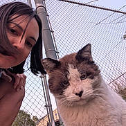Pepper joined the competition — help win amazing prizes! woman, cat, outdoor, fence, chain_link_fence, pet, animal, face, portrait, sky, grass, nature, curious, person, daylight, closeup, fur, head, expression, candid