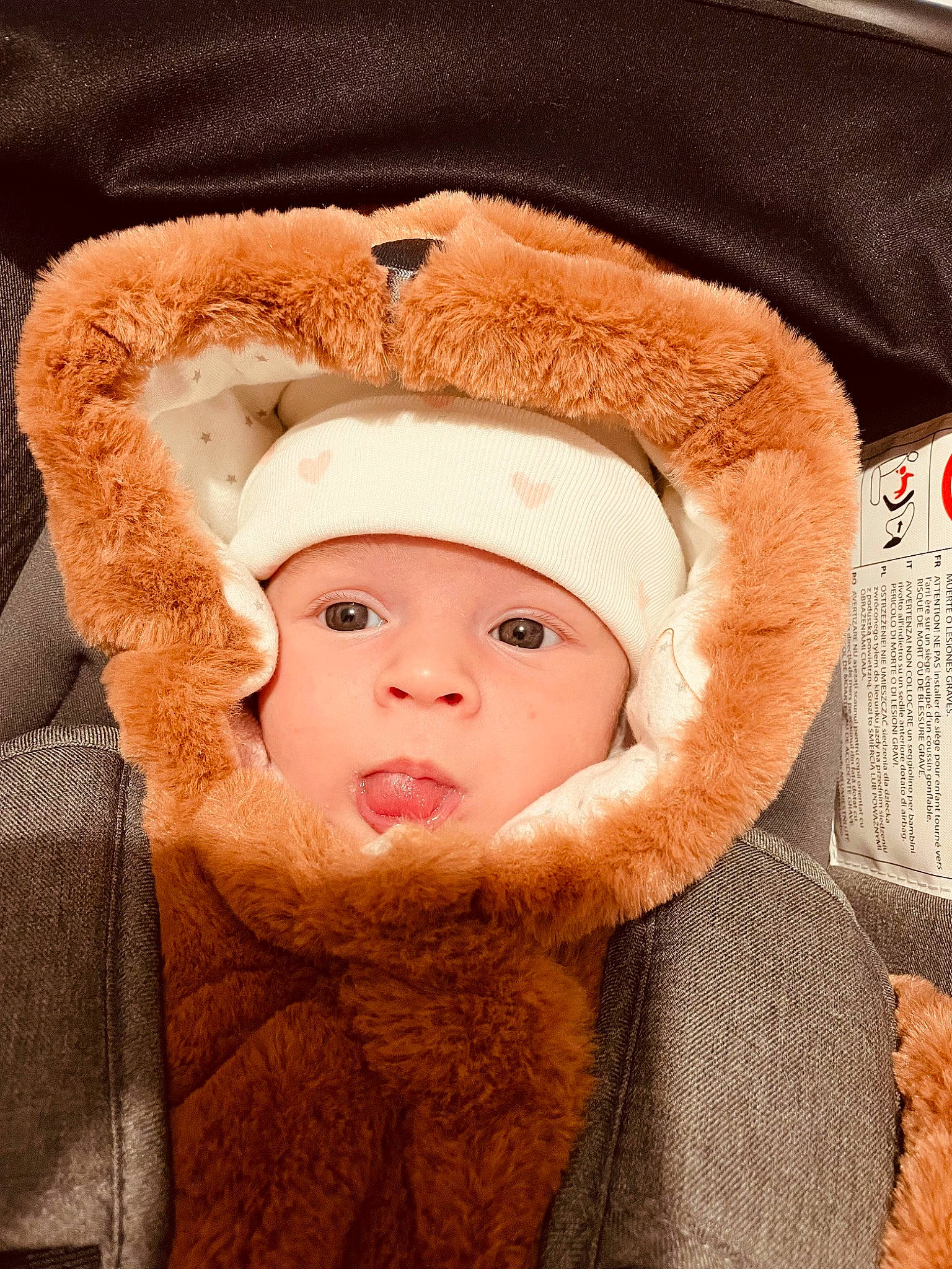 Lizéa participe au concours pour gagner de l'argent avec cette photo : baby, baby_toddler_clothing, cap, cheek, close_up, eye, eyebrow, eyelash, fashion_accessory, fur, fur_clothing, headgear, headwear, jacket, knit_cap, lip, nose, outerwear, person, toddler