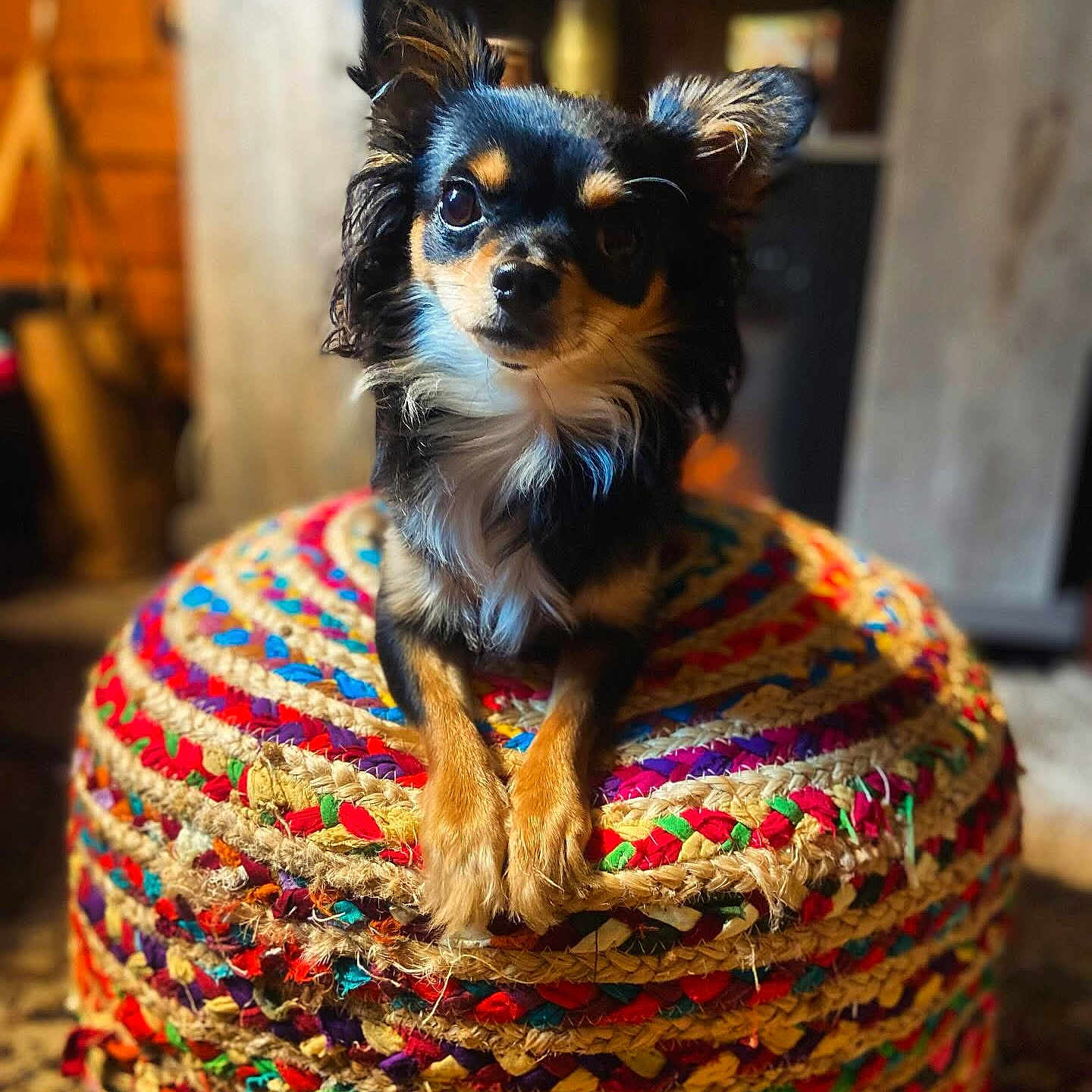 Rita