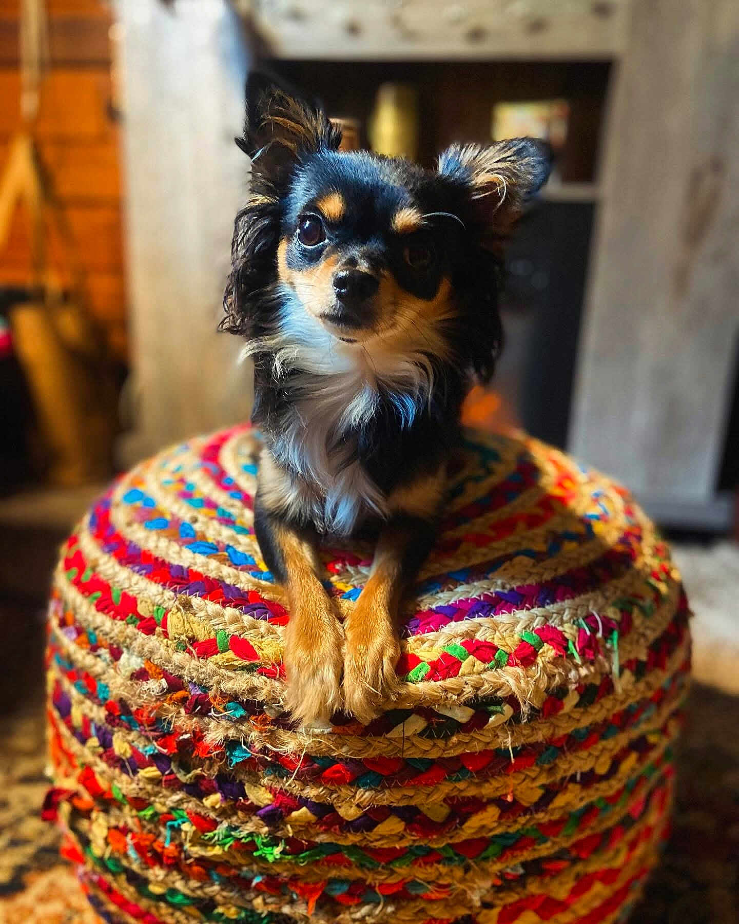 Rita