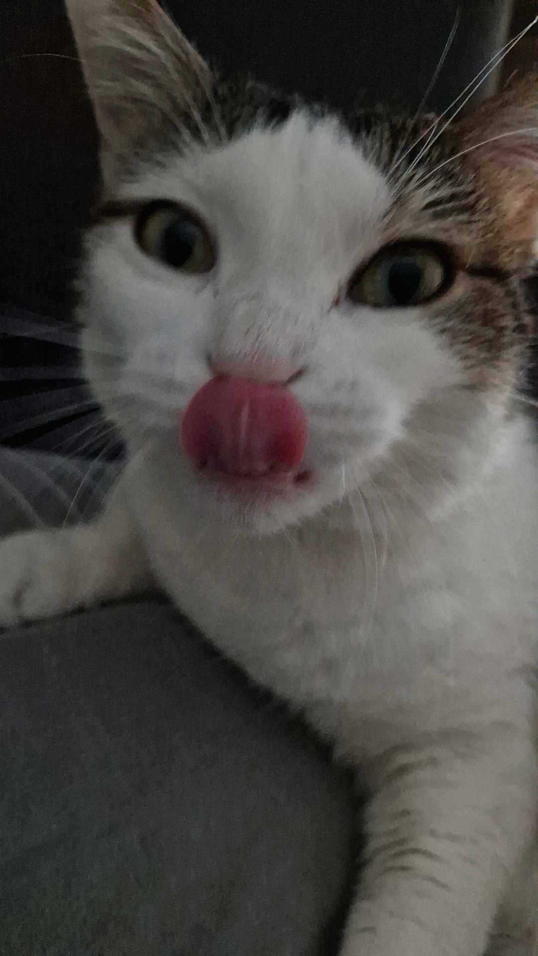 Patch