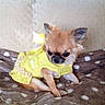 Lilly participe au concours pour gagner de l'argent avec cette photo :