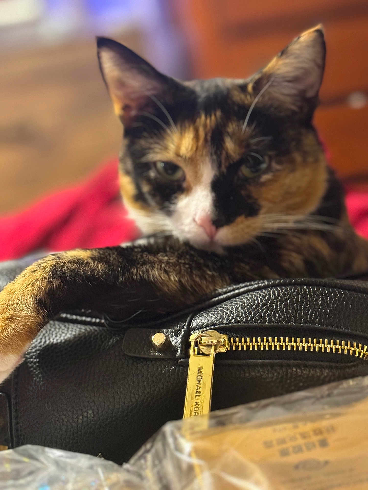 Kali Patches