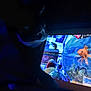 Kali Patches joined the competition — help win amazing prizes! animal, aquarium, aquatic, cat, computer, computerhardware, electronics, face, fish, goldfish, hardware, head, monitor, pc, person, pet, screen, sealife, silhouette, water