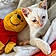 Winnie