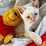 kitten, cat, plush_toy, winnie_the_pooh, stuffed_animal, white_fur, blue_eyes, close_up, soft_texture, fabric, cute, pet, animal, resting, indoor, cozy, toy, fur, relaxed, playful