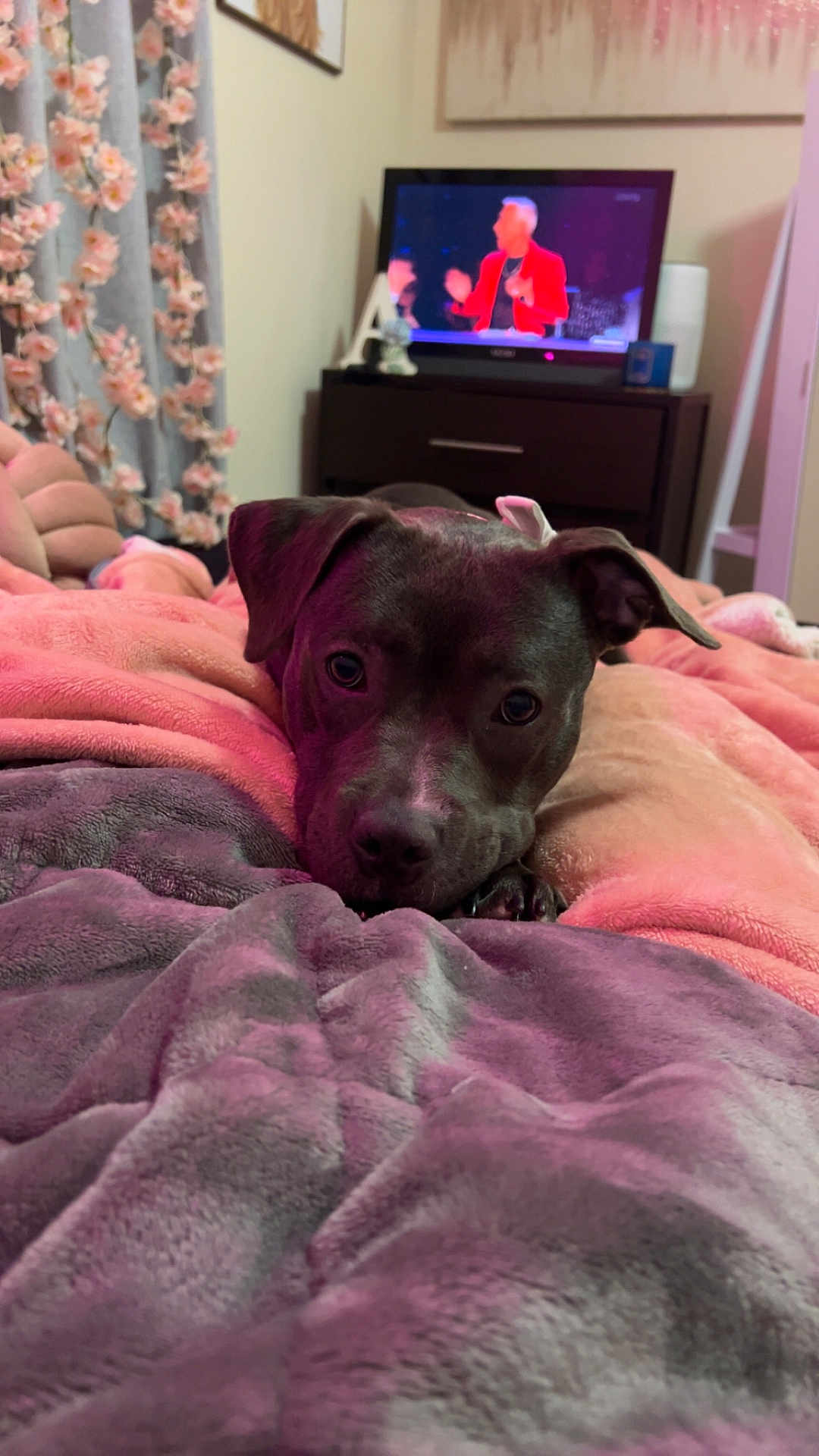 Tympy