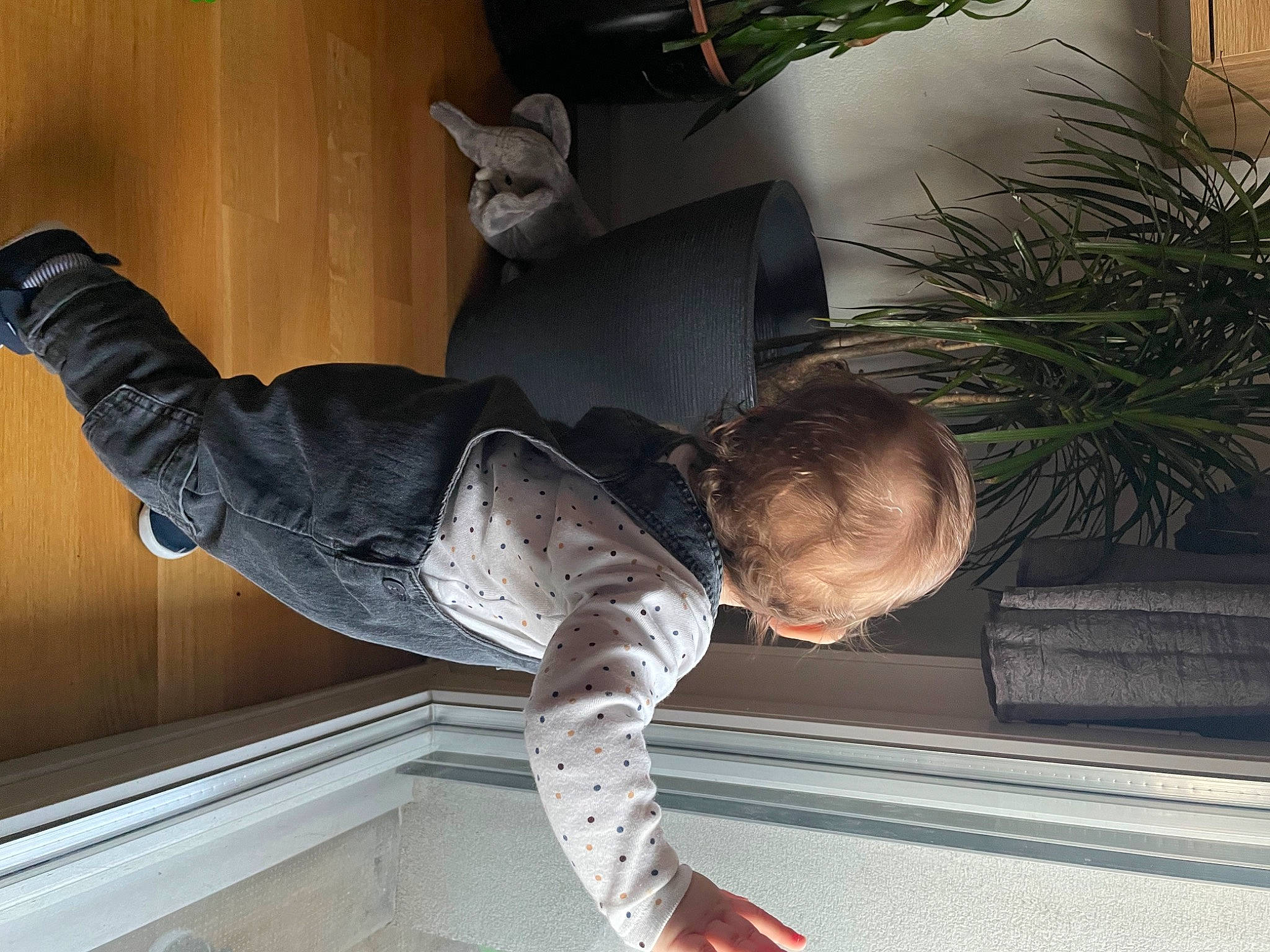 Ayden a rejoint le concours — aidez-le/la à gagner de superbes lots ! comfort, elbow, flooring, flowerpot, fun, houseplant, leg, metal, plant, room, sitting, sleeve, suit, t_shirt, toddler, wood