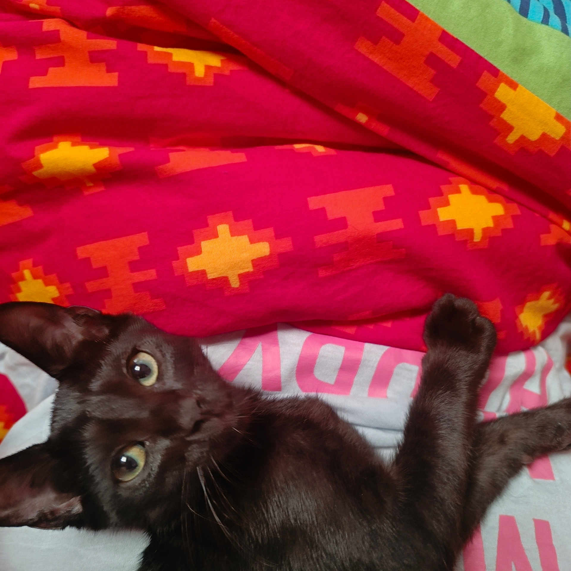 Aiko