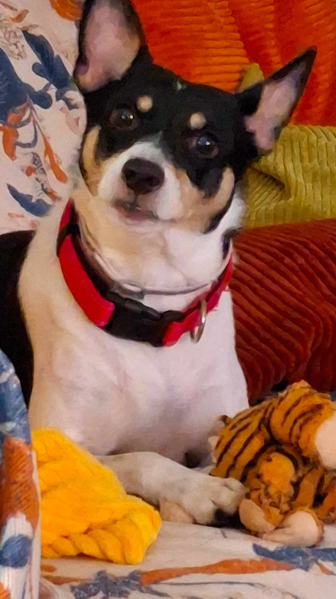 Snoopy