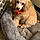 Arlo