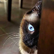 Gaby a rejoint le concours — aidez-le/la à gagner de superbes lots !