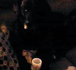 Babygirl joined the competition — help win amazing prizes! darkness, entertainment, event, gas, midnight, night