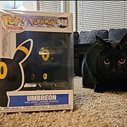 Maisy joined the competition — help win amazing prizes! black_cat, cat, umbreon, funko_pop, toy_box, carpet, living_room, couch, window_blinds, yellow_eyes, pet, indoor, floor, animal, cute, feline, figurine, collectible, home, shadow
