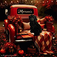 Axle joined the competition — help win amazing prizes! dog, black_dog, vintage_truck, pickup_truck, autumn, fall_leaves, pumpkins, blanket, pillows, flowers, lantern, outdoor, cozy, rustic, wooden_bed, decorations, seasonal, pet, curious, nature