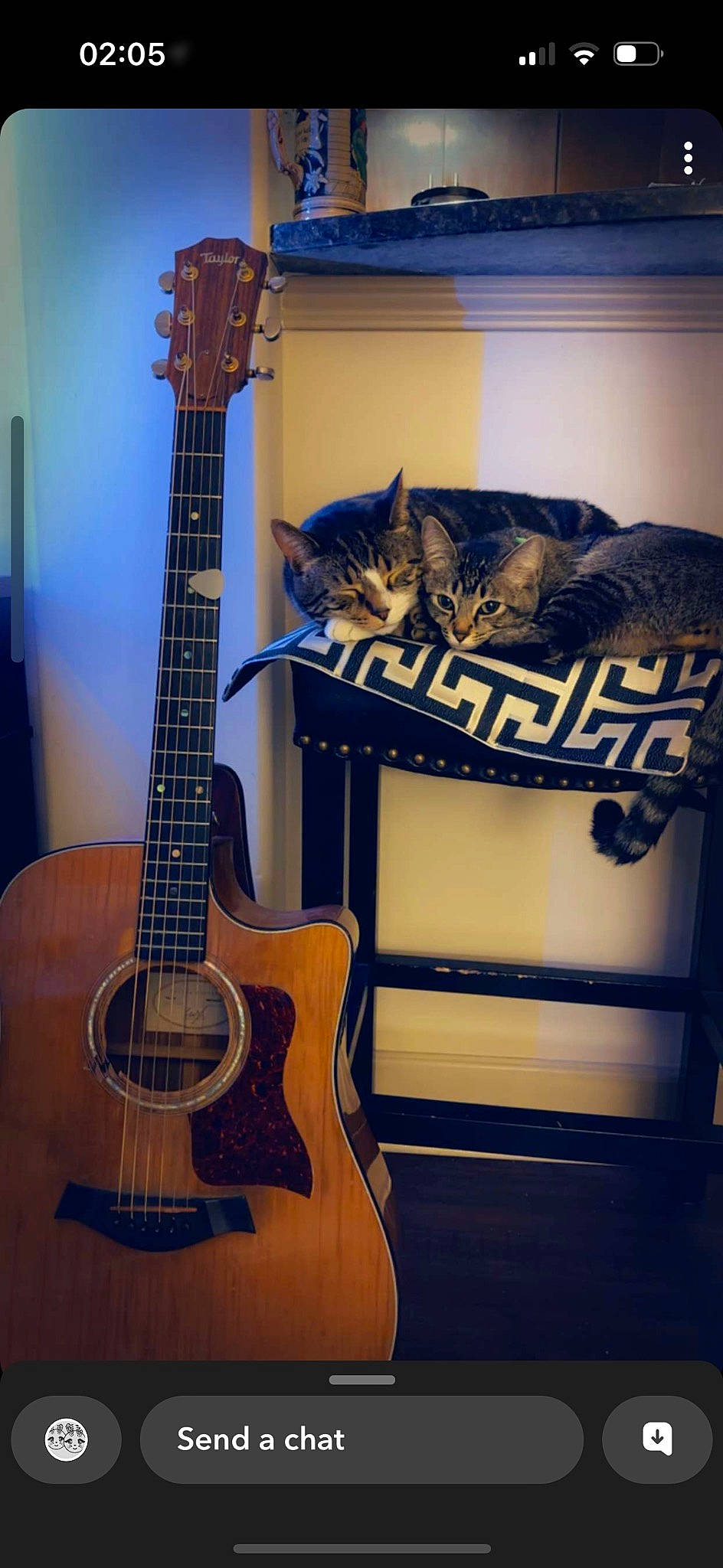 Lola joined the competition — help win amazing prizes! acoustic_electric_guitar, art, cat, electric_blue, electric_guitar, electronic_instrument, electronic_musical_instrument, felidae, guitar, guitar_accessory, music, musical_instrument, musical_instrument_accessory, plucked_string_instruments, small_to_medium_sized_cats, string_instrument, string_instrument_accessory, whiskers, wood