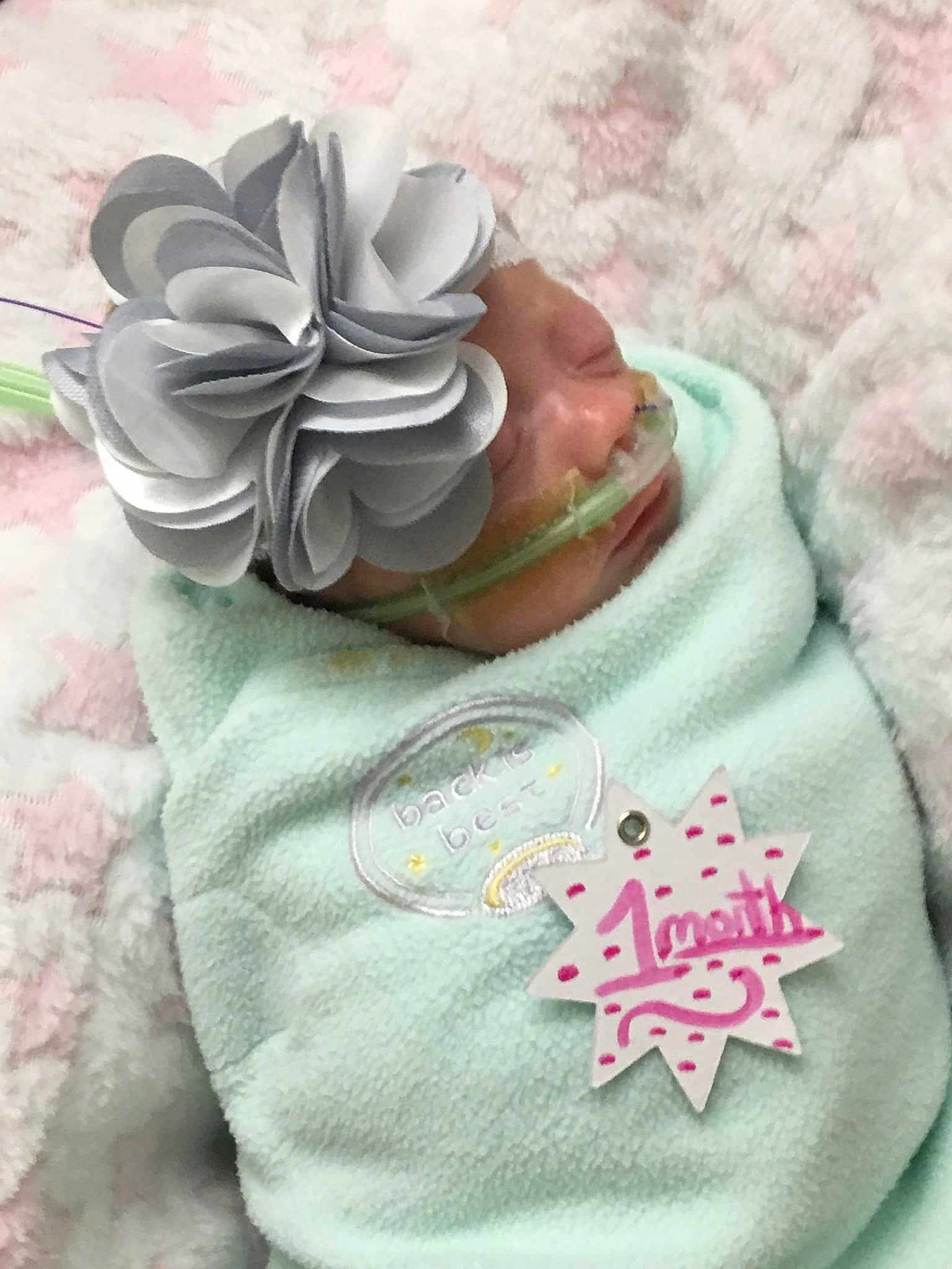 Gracie is registered to the contest to win money with this photo: baby, child, fashion_accessory, linens, petal, pink, textile