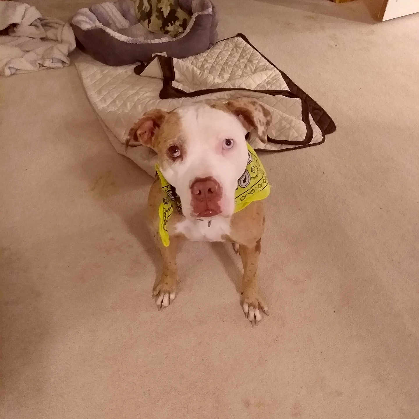Gracie Mae