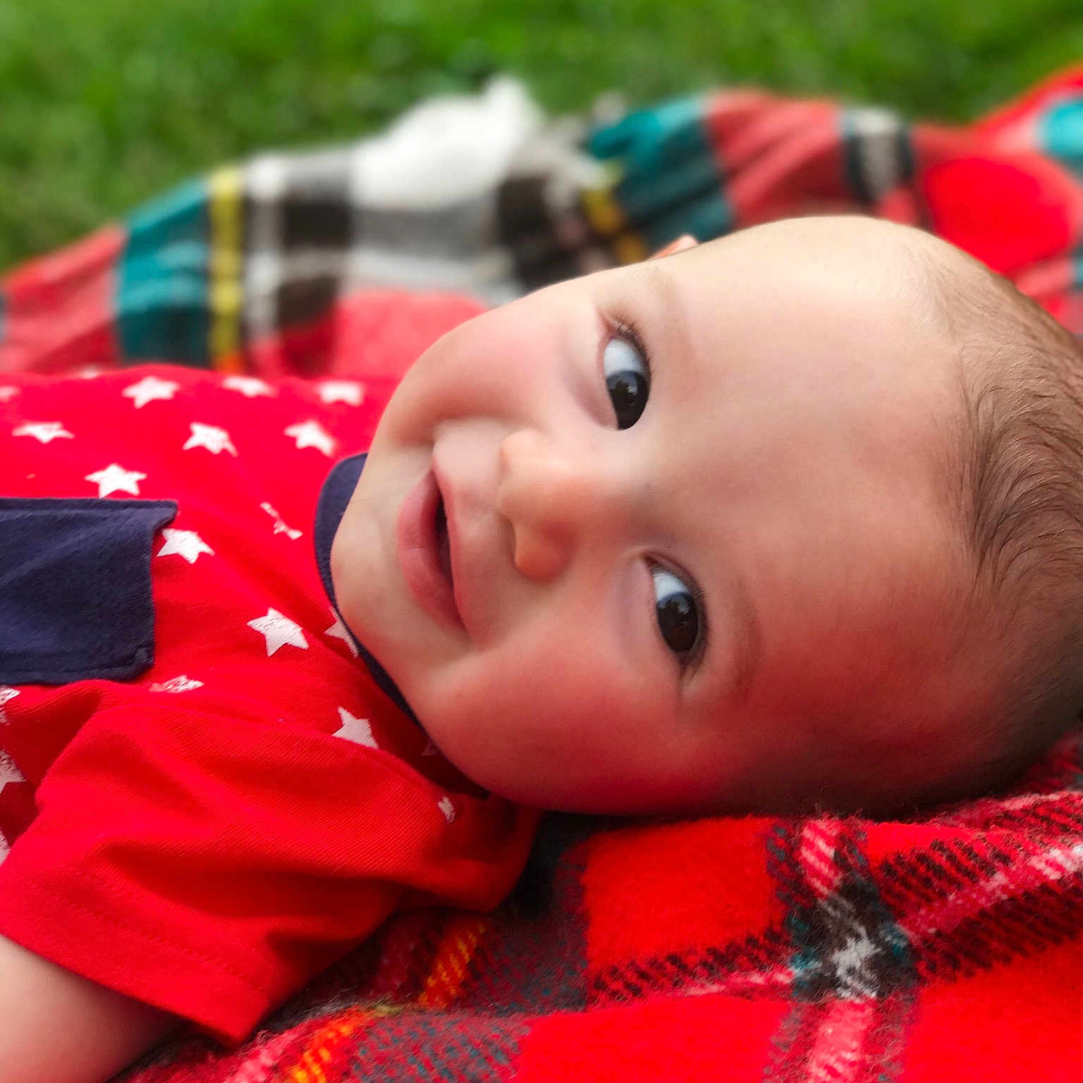 Jaylen is registered to the contest to win money with this photo: beauty, boy, cheek, child, close_up, eye, face, fun, grass, head, infant, lip, mouth, nose, organ, play, red, skin, smile, toddler