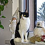 cat, black_and_white, windowsill, window, doll, stuffed_animal, owl, plant, indoor, curious, pet, animal, decor, figurine, white, black, sitting, feline, houseplant, home