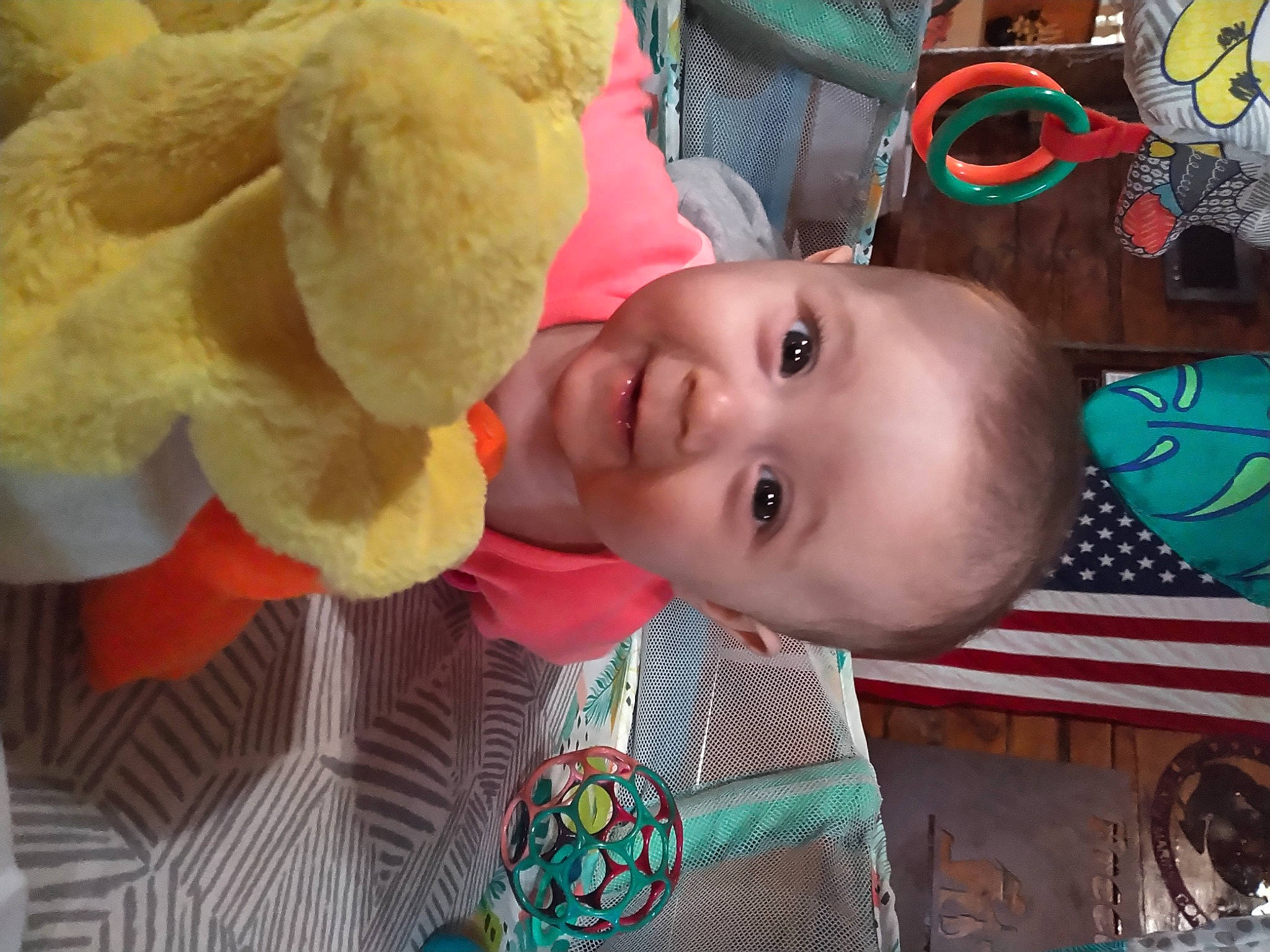 Sapphire Thomas is registered to the contest to win money with this photo: baby, baby_products, baby_toddler_clothing, beauty, cheek, child, fun, green, happy, iris, nose, pattern, person, plant, room, skin, smile, textile, toddler, tree