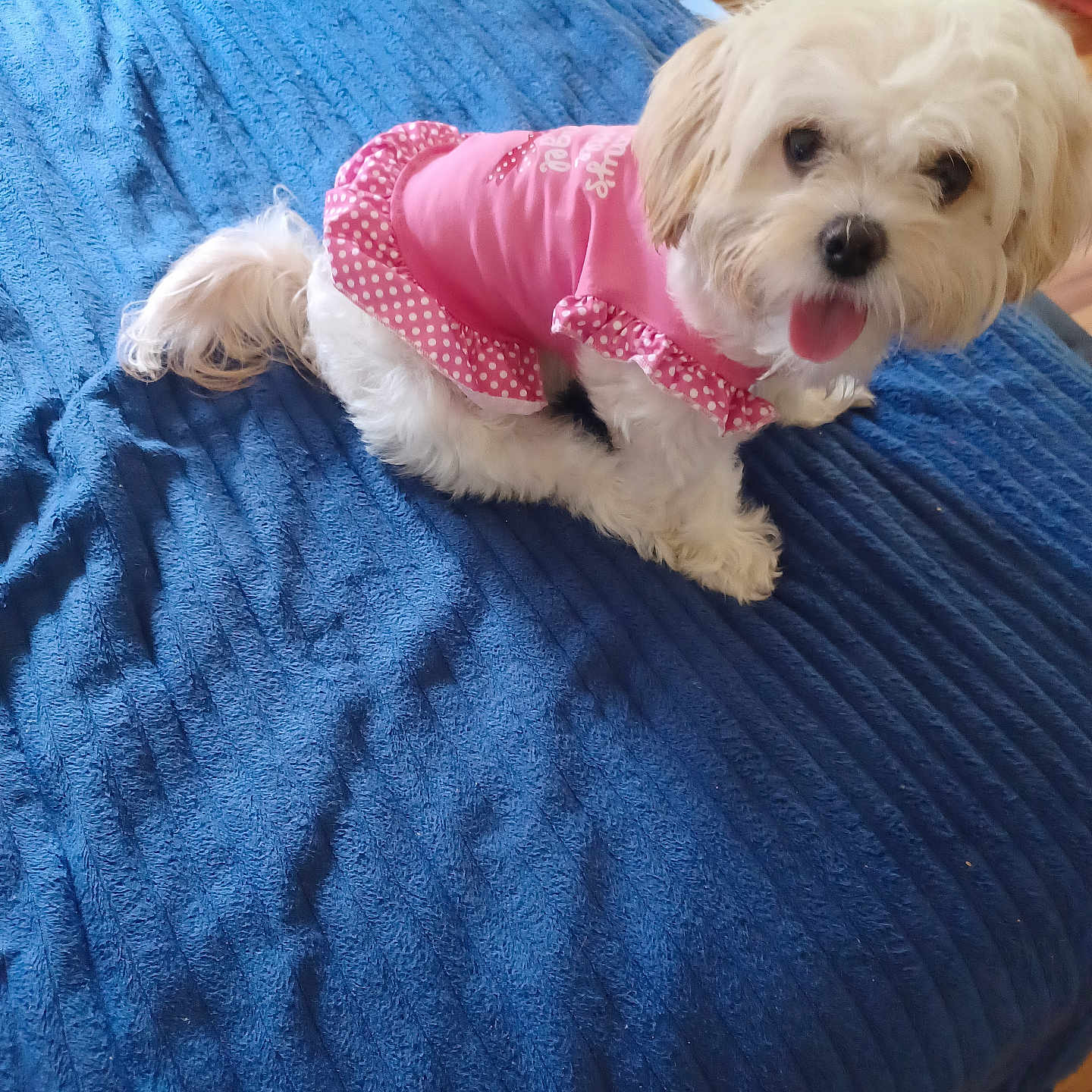Gabby