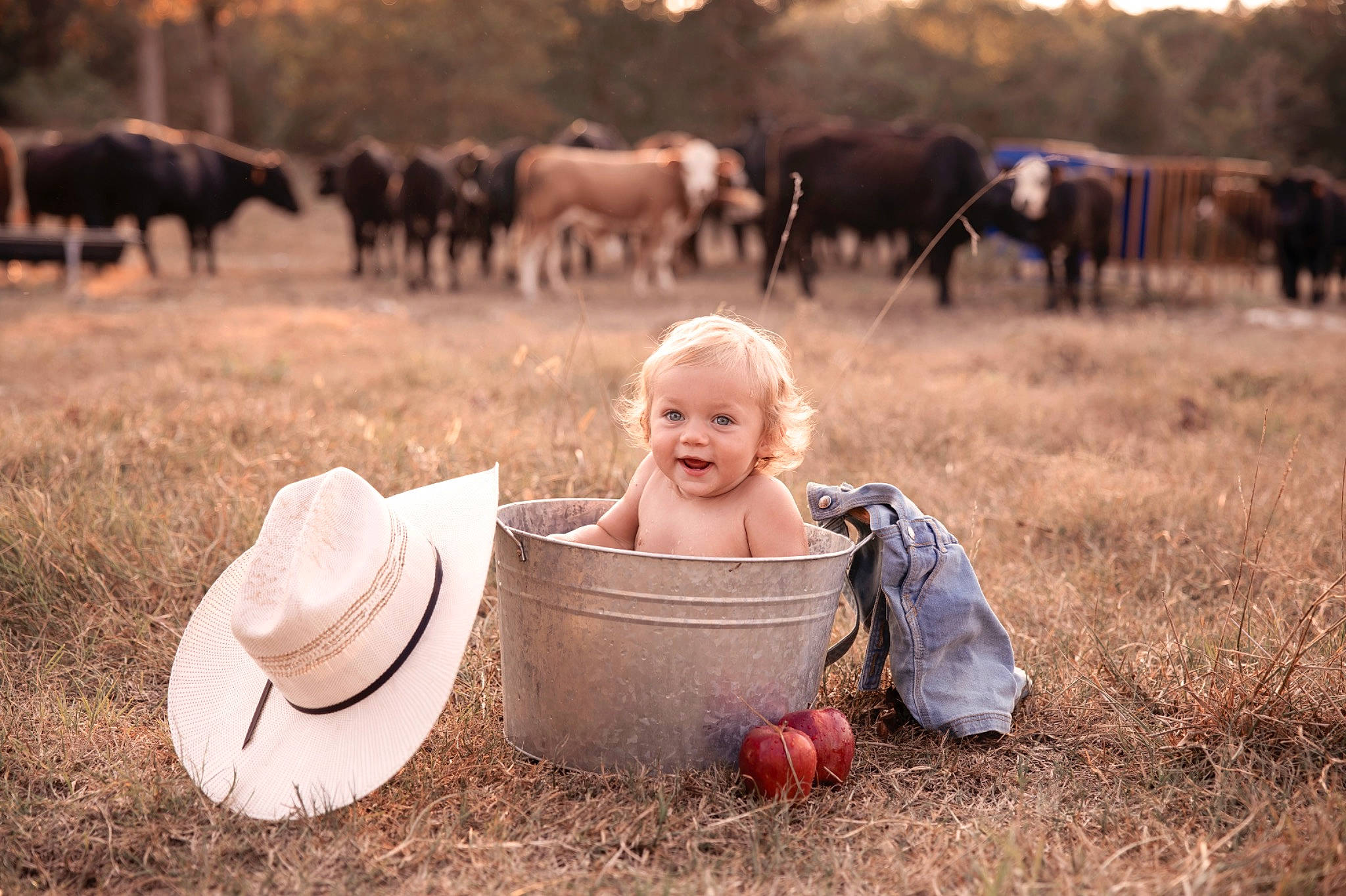 Rhett joined the competition — help win amazing prizes! calabaza, dress, grass, happy, hat, joy, light, mammal, morning, natural_landscape, nature, people_in_nature, person, photograph, pumpkin, rural_area, smile, sun_hat, sunlight, toddler