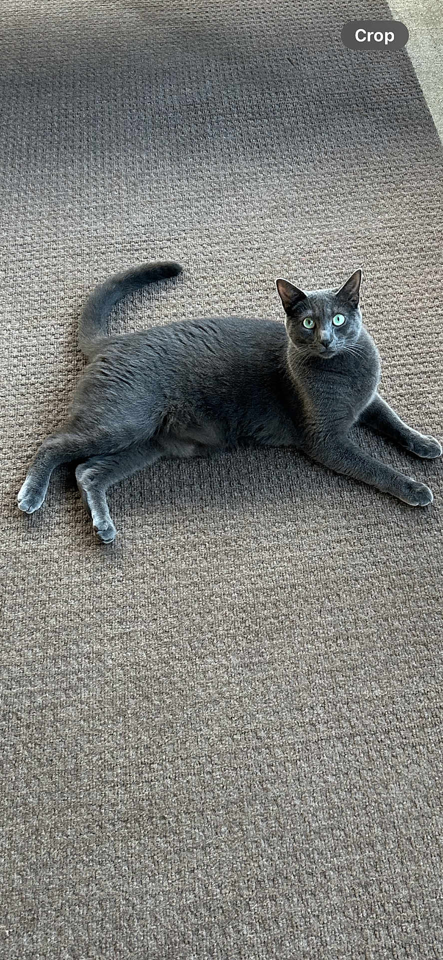 Asher
