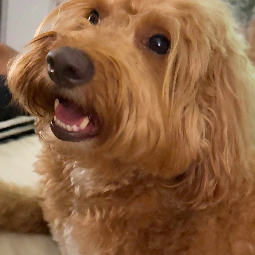 Riley