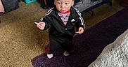 Merlin is registered to the contest to win money with this photo: adidas, black_tracksuit, carpet, carpeted_floor, child, clothing, curious, floor, furniture, home, indoor, laundry_basket, person, playpen, purple_rug, room, small_object, standing, toddler, toy