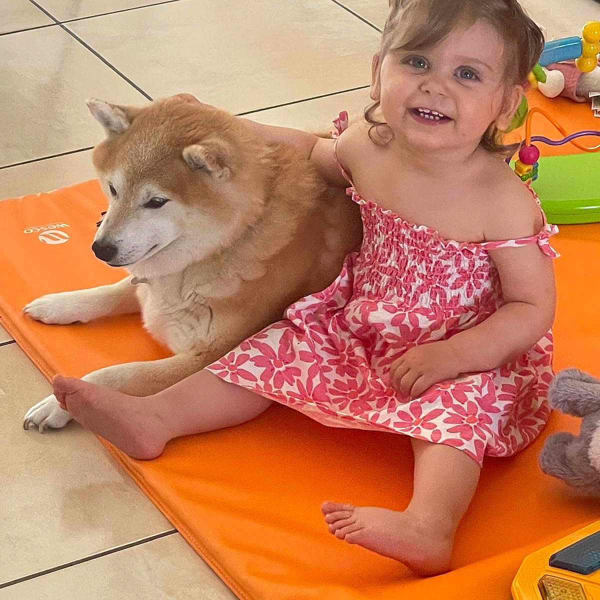 Giulia participe au concours pour gagner de l'argent avec cette photo : barefoot, child, cute, dog, family, floor, friendship, happy, indoor, orange_mat, pet, pigtails, pink_dress, playtime, seated, shiba_inu, smile, tile, toddler, toy