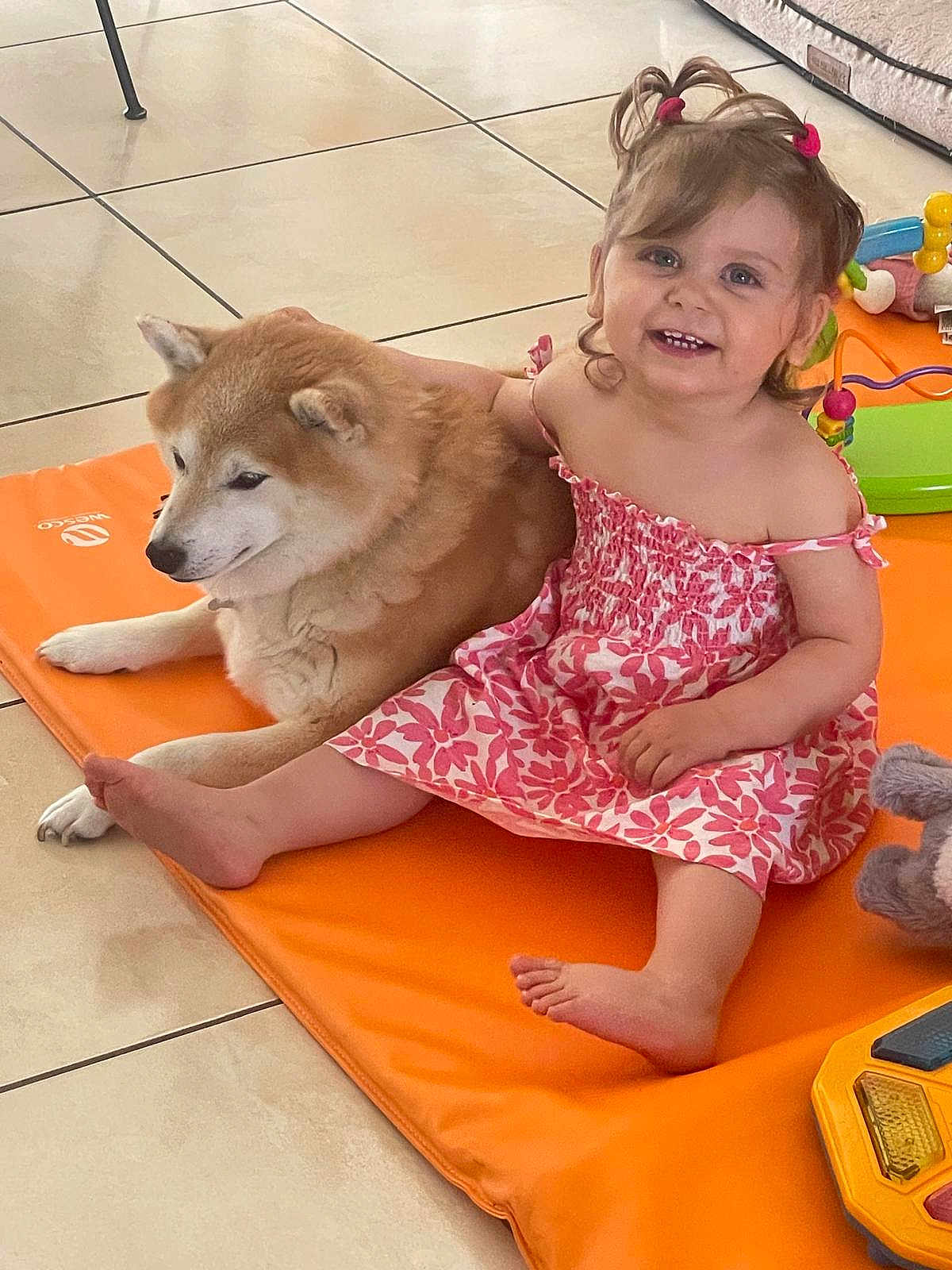 Giulia participe au concours pour gagner de l'argent avec cette photo : toddler, child, dog, shiba_inu, orange_mat, pink_dress, pigtails, toy, floor, tile, smile, happy, indoor, pet, playtime, cute, family, friendship, barefoot, seated