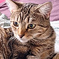Emmanuelle D.