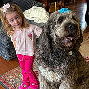 Moose joined the competition — help win amazing prizes! child, dog, indoor, carpet, furniture, toy, clothing, shoes, bow, necklace, curly_fur, smiling, wood_floor, table, plant, couch, blanket, happy, pet, decor