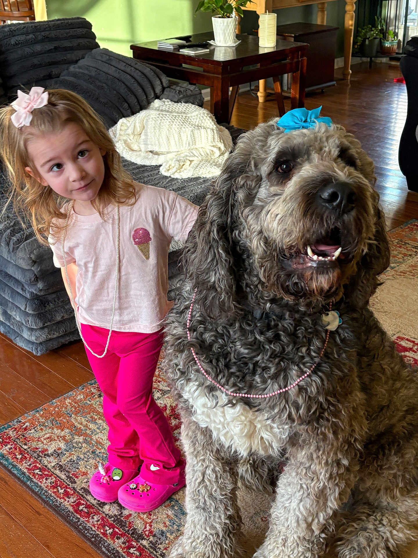 Moose joined the competition — help win amazing prizes! child, dog, indoor, carpet, furniture, toy, clothing, shoes, bow, necklace, curly_fur, smiling, wood_floor, table, plant, couch, blanket, happy, pet, decor