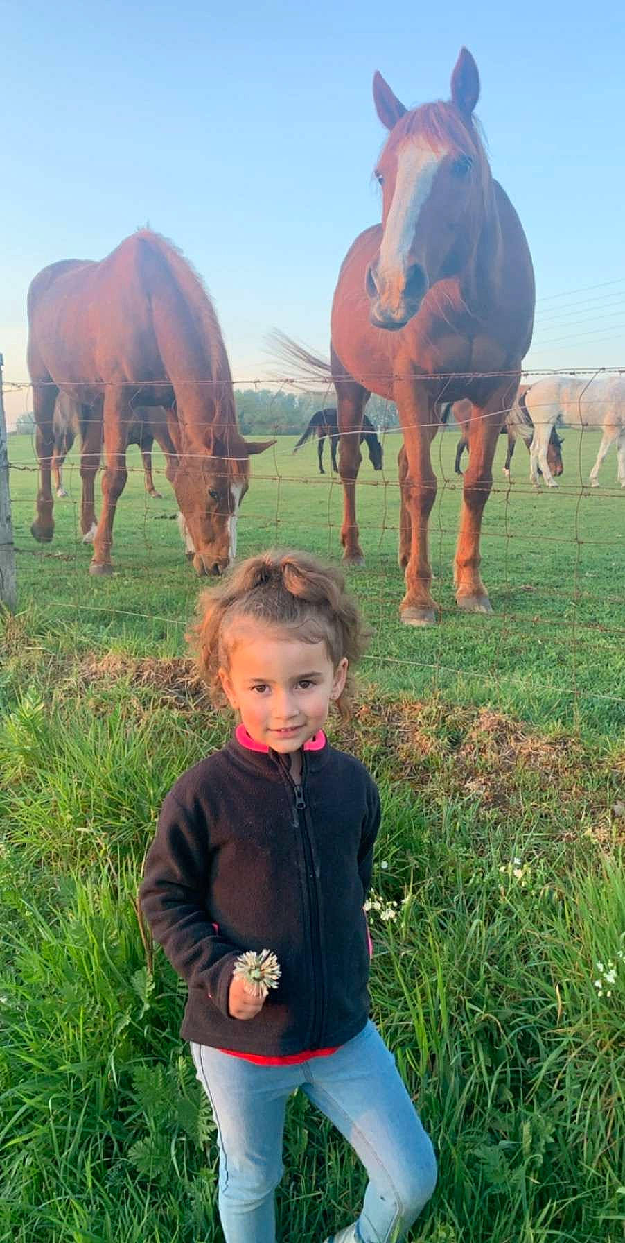 Julia a rejoint le concours — aidez-le/la à gagner de superbes lots ! adaptation, farm, grass, grassland, grazing, horse, joy, landscape, mane, mare, meadow, pasture, person, ranch, rural_area, stallion, wildlife, working_animal