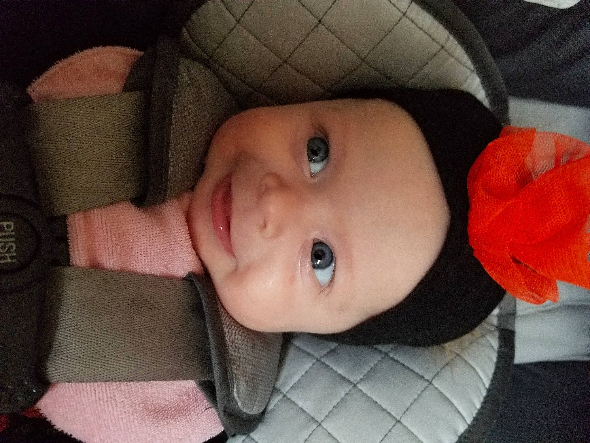 Sophia joined the competition — help win amazing prizes! baby, car_seat, cheek, child, chin, ear, eye, face, forehead, hat, head, headgear, headwear, joy, lip, mouth, neck, nose, person, skin