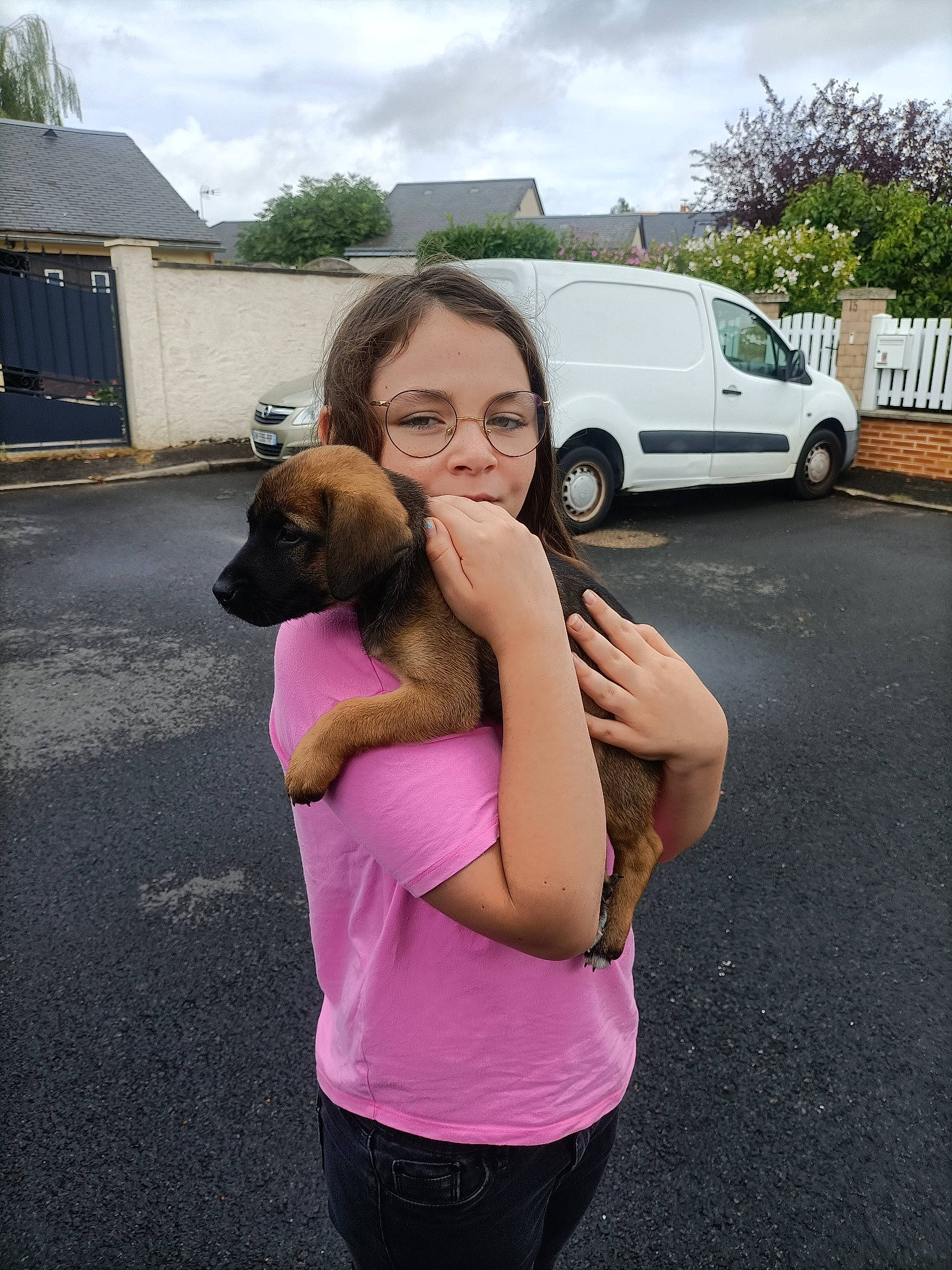 Nala participe au concours pour gagner de l'argent avec cette photo : asphalt, car, carnivore, cloud, compact_van, companion_dog, dog, dog_breed, eyewear, gesture, happy, recreation, sky, tire, travel, tree, van, vehicle_door, wheel, window
