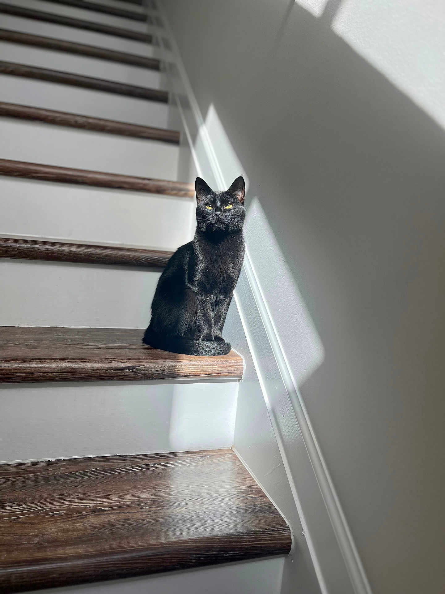 Binx