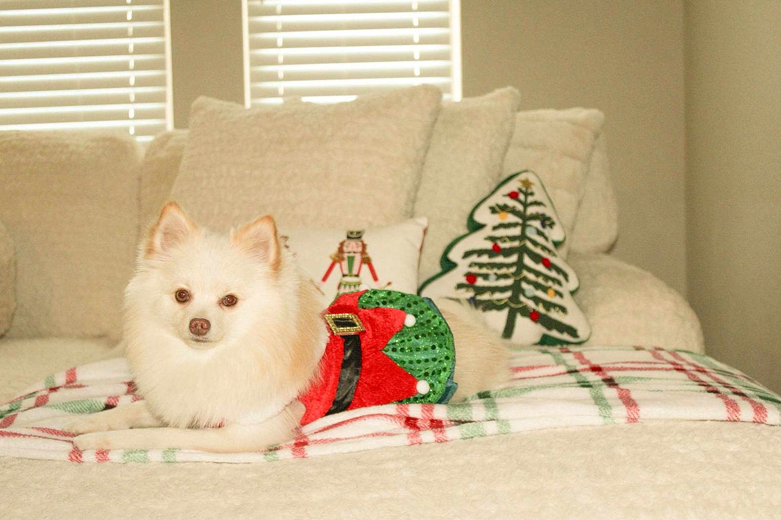 Bella