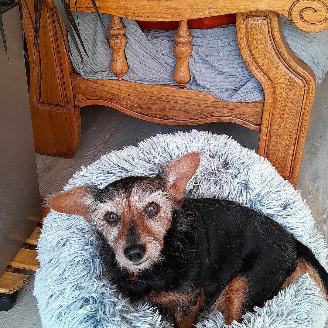 Tina