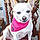 Daisy Baby