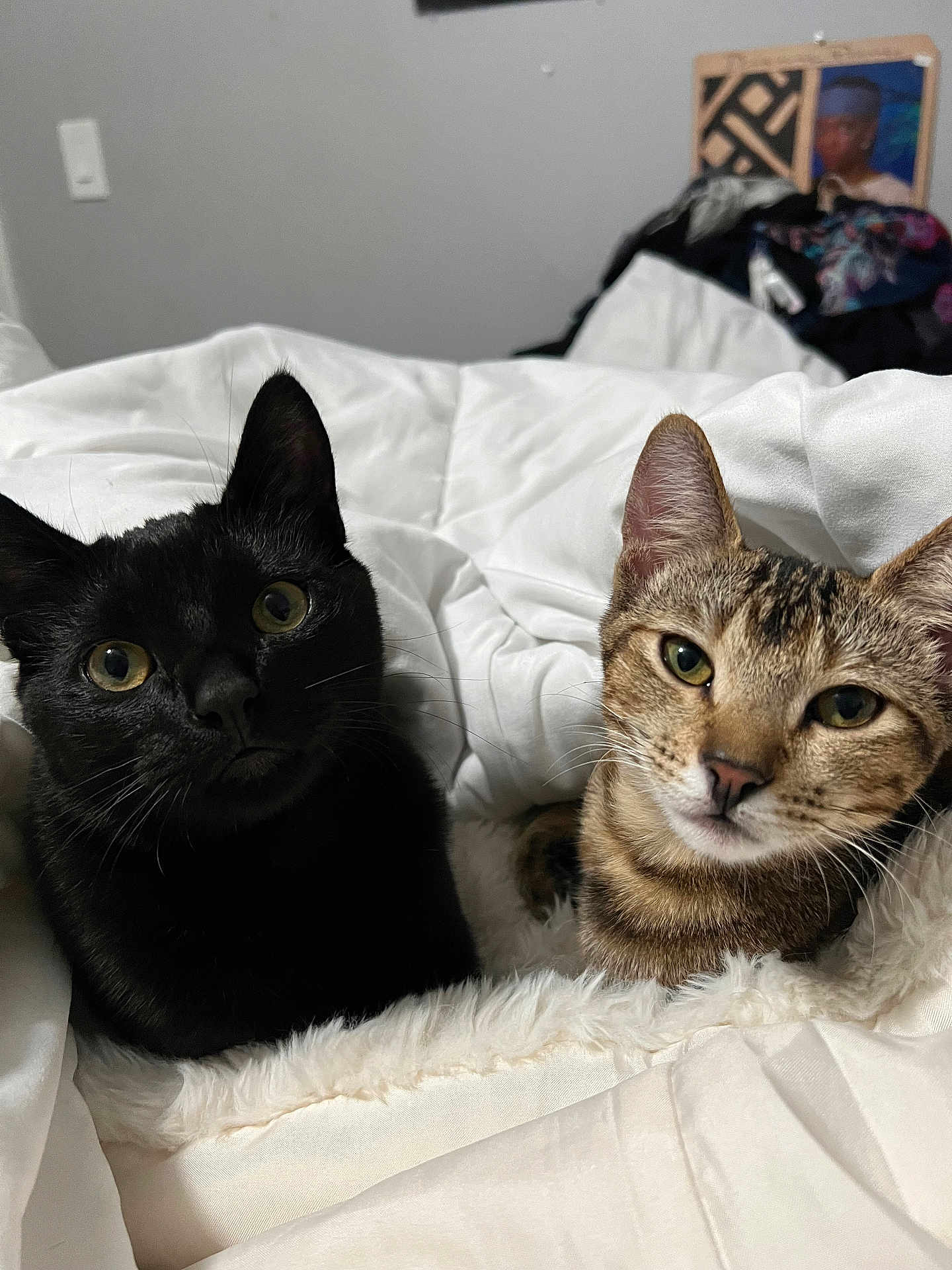 Onyxx And Nova