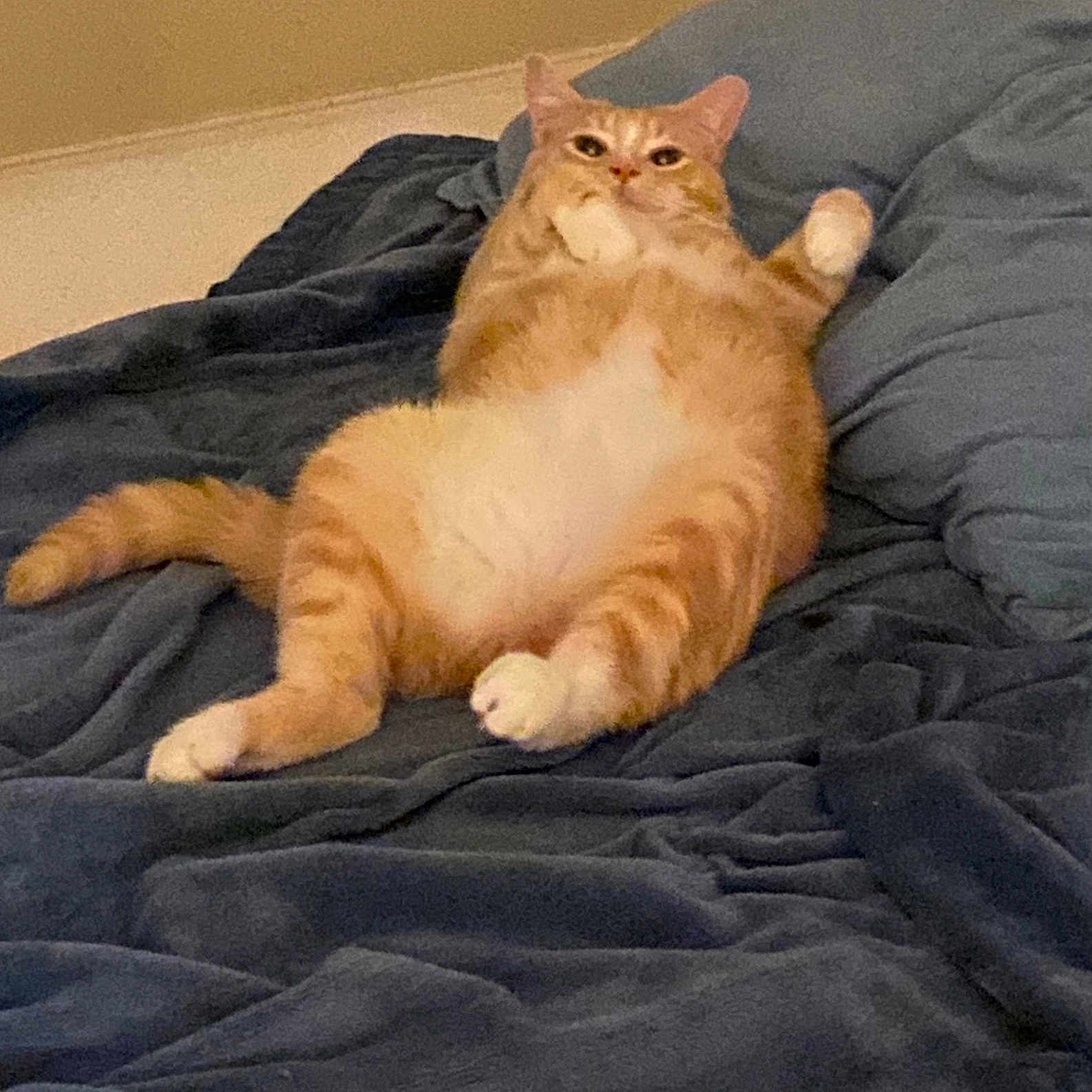 Charles