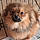 Alvin