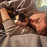 Tarot joined the competition — help win amazing prizes! animal, arm, bed, blanket, calico_cat, casual_clothing, cat, closeup, comfort, cozy, face, hair, indoor, light, person, relaxation, resting, sleepy, snuggling, warm