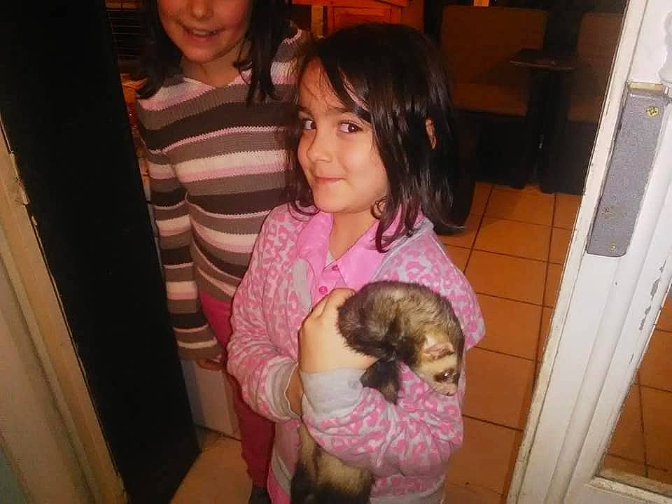 Cassandra participe au concours pour gagner de l'argent avec cette photo : black_hair, canidae, child, dog_breed, fawn, joy, long_hair, person, sporting_group, toddler