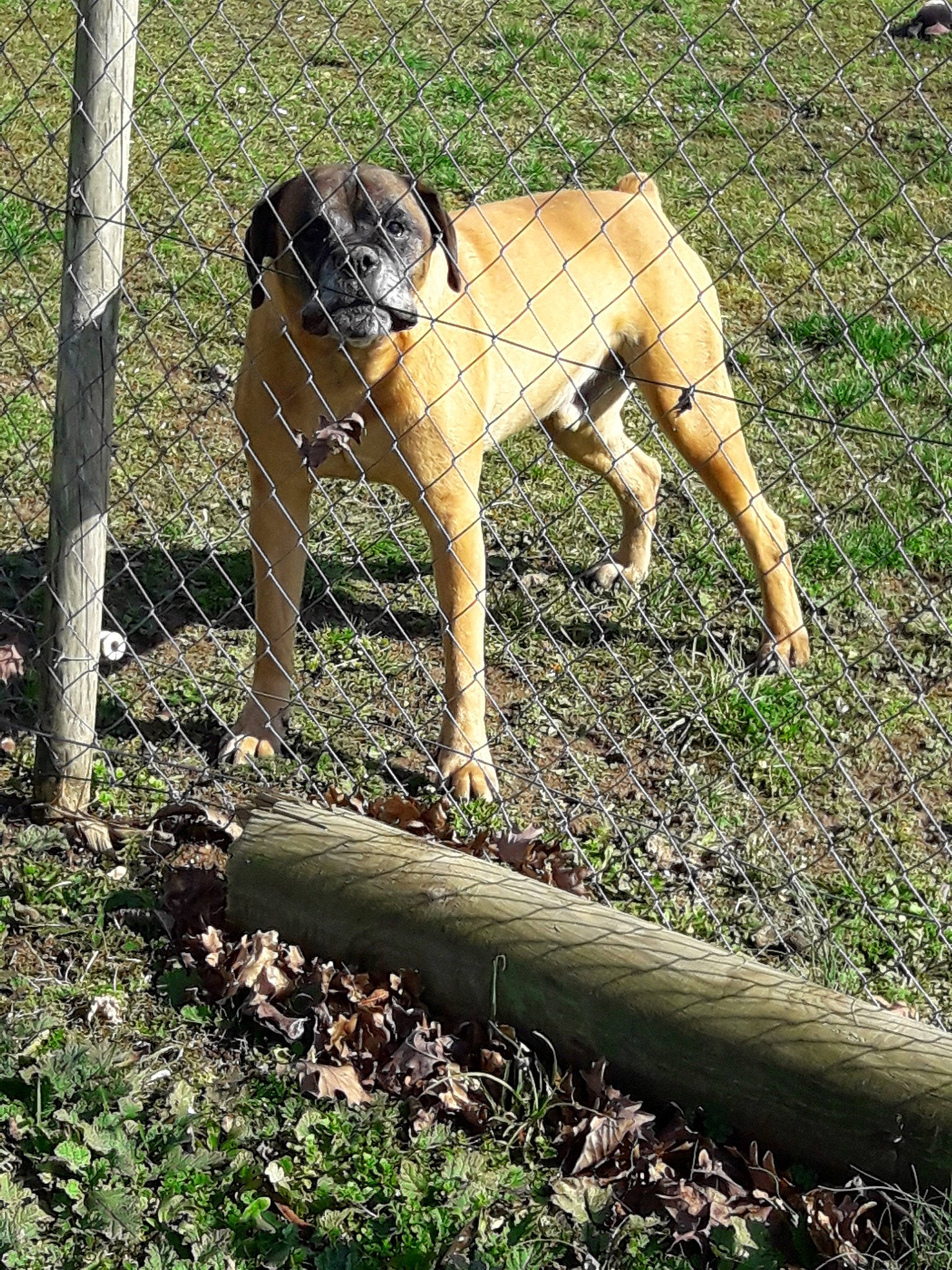 Diesel participe au concours pour gagner de l'argent avec cette photo :