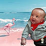 baby, child, flamingo, beach, pink_sand, ocean, waves, sky, blue_sky, water, shore, animal, bird, wildlife, hoodie, red_shirt, smiling, portrait, outdoor, nature